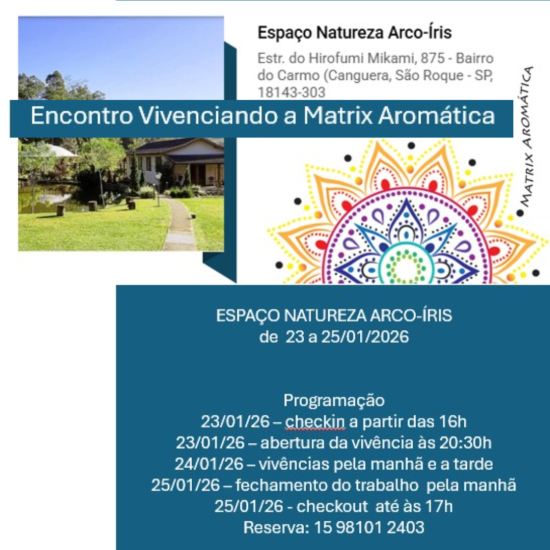 Encontro Vivenciando a Matrix  Aromática