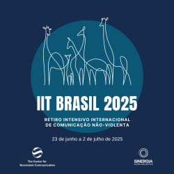 IIT BRASIL 2025
