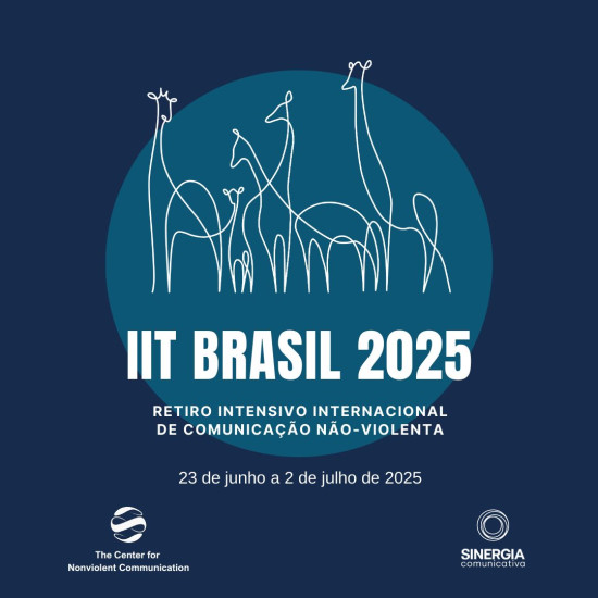 IIT BRASIL 2025 IIT BRASIL 2025